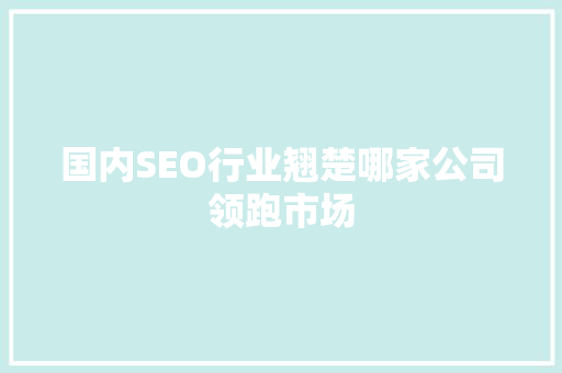 国内SEO行业翘楚哪家公司领跑市场