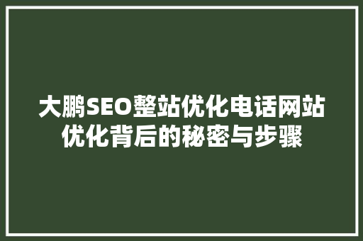 大鹏SEO整站优化电话网站优化背后的秘密与步骤