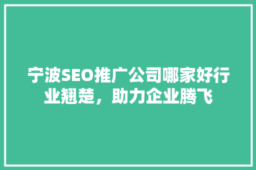宁波SEO推广公司哪家好行业翘楚，助力企业腾飞