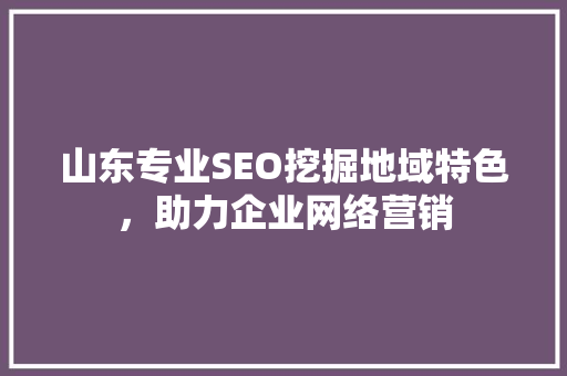 山东专业SEO挖掘地域特色，助力企业网络营销