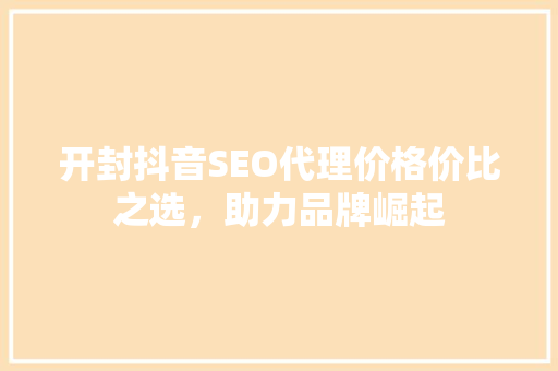 开封抖音SEO代理价格价比之选，助力品牌崛起