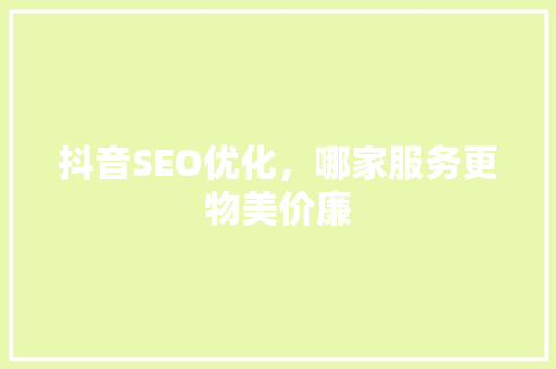 抖音SEO优化，哪家服务更物美价廉