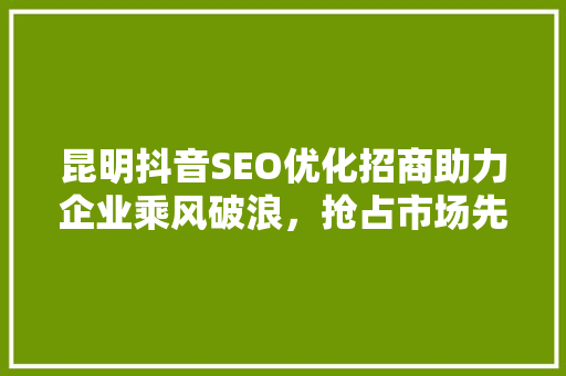 昆明抖音SEO优化招商助力企业乘风破浪,抢占市场先机 电脑故障维修 昆明抖音SEO优化招商助力企业乘风破浪,抢占市场先机 电脑故障维修