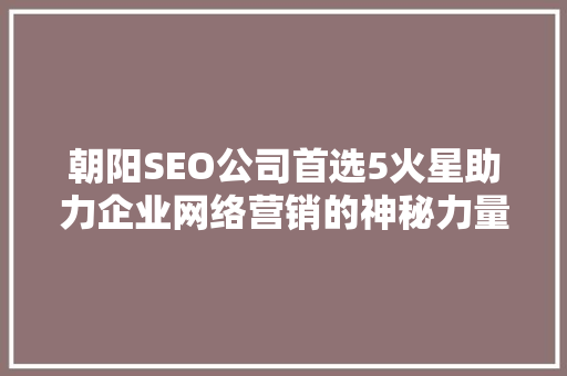 朝阳SEO公司首选5火星助力企业网络营销的神秘力量 网络技术