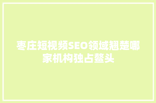 枣庄短视频SEO领域翘楚哪家机构独占鳌头 枣庄短视频SEO领域翘楚哪家机构独占鳌头