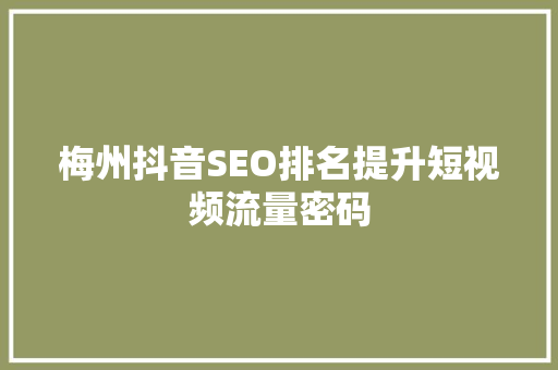 梅州抖音SEO排名提升短视频流量密码