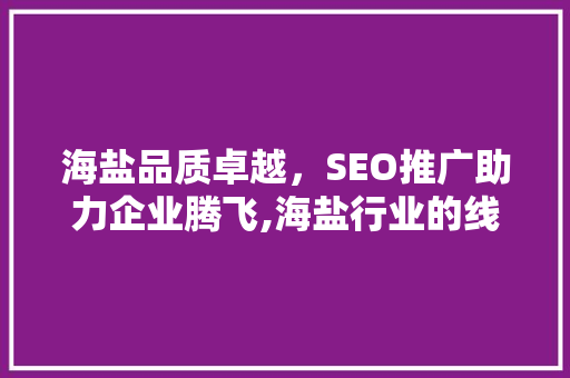 海盐品质卓越，SEO推广助力企业腾飞,海盐行业的线上营销之路
