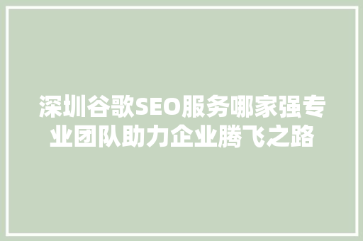 深圳谷歌SEO服务哪家强专业团队助力企业腾飞之路