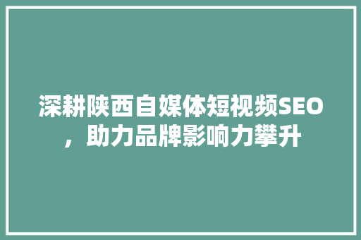 深耕陕西自媒体短视频SEO，助力品牌影响力攀升
