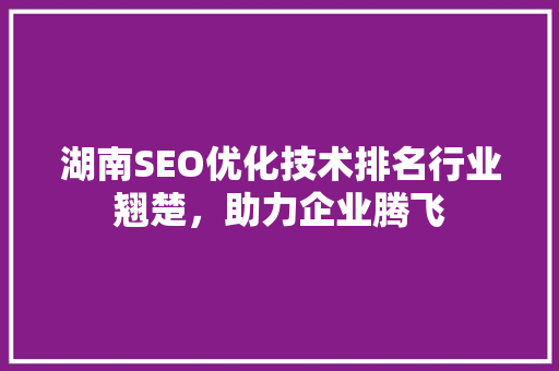 湖南SEO优化技术排名行业翘楚，助力企业腾飞