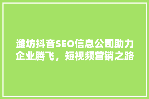 潍坊抖音SEO信息公司助力企业腾飞，短视频营销之路