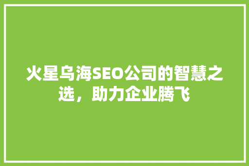 火星乌海SEO公司的智慧之选，助力企业腾飞