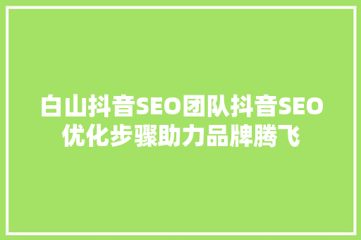 白山抖音SEO团队抖音SEO优化步骤助力品牌腾飞