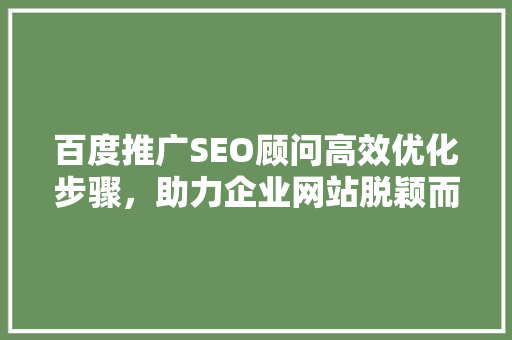 百度推广SEO顾问高效优化步骤，助力企业网站脱颖而出
