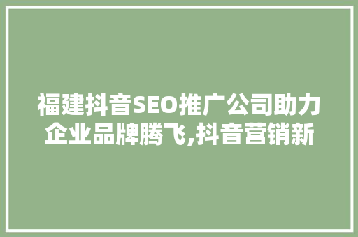 福建抖音SEO推广公司助力企业品牌腾飞,抖音营销新步骤