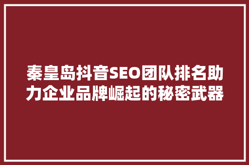 秦皇岛抖音SEO团队排名助力企业品牌崛起的秘密武器