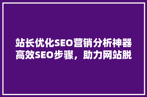 站长优化SEO营销分析神器高效SEO步骤，助力网站脱颖而出