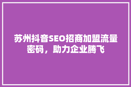 苏州抖音SEO招商加盟流量密码，助力企业腾飞