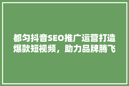 都匀抖音SEO推广运营打造爆款短视频，助力品牌腾飞