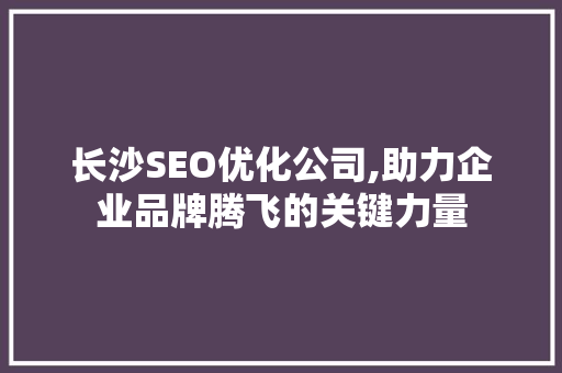 长沙SEO优化公司,助力企业品牌腾飞的关键力量