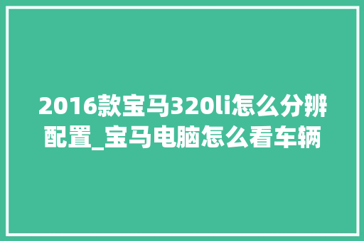 2016款宝马320li怎么分辨配置_宝马电脑怎么看车辆配置参数