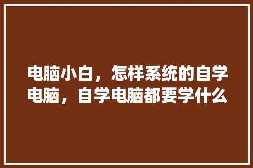 电脑小白，怎样系统的自学电脑，自学电脑都要学什么_电脑基础知识自学难吗