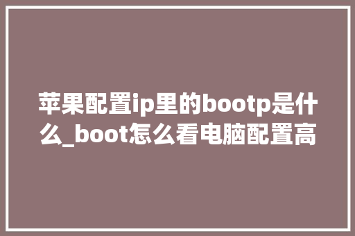 苹果配置ip里的bootp是什么_boot怎么看电脑配置高低 苹果配置ip里的bootp是什么_boot怎么看电脑配置高低
