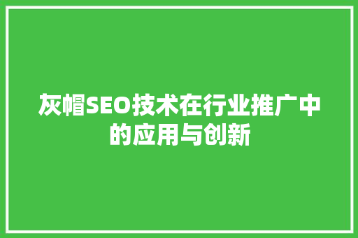 灰帽SEO技术在行业推广中的应用与创新