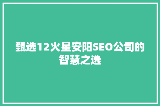 甄选12火星安阳SEO公司的智慧之选