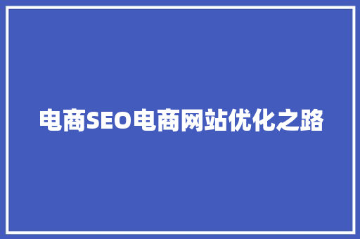 电商SEO电商网站优化之路