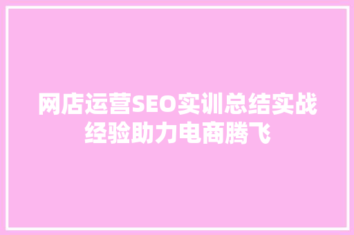 网店运营SEO实训总结实战经验助力电商腾飞