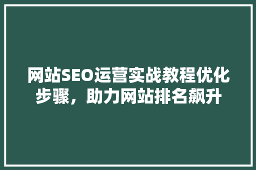 网站SEO运营实战教程优化步骤，助力网站排名飙升