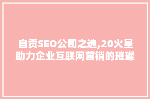 自贡SEO公司之选,20火星助力企业互联网营销的璀璨之星