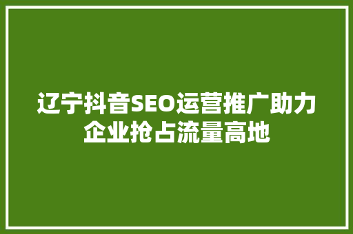辽宁抖音SEO运营推广助力企业抢占流量高地