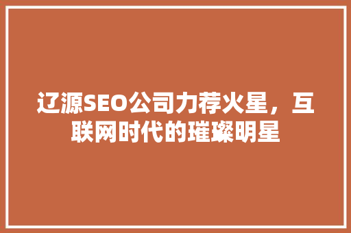 辽源SEO公司力荐火星，互联网时代的璀璨明星