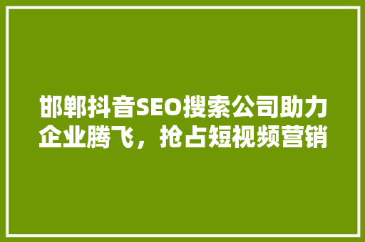 邯郸抖音SEO搜索公司助力企业腾飞，抢占短视频营销制高点