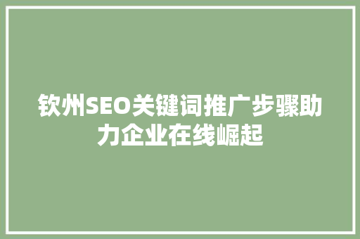 钦州SEO关键词推广步骤助力企业在线崛起