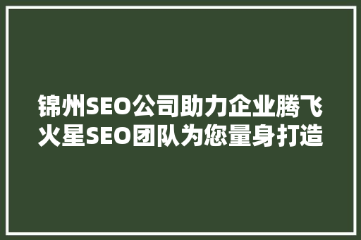 锦州SEO公司助力企业腾飞火星SEO团队为您量身打造高效网络营销步骤