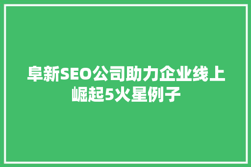 阜新SEO公司助力企业线上崛起5火星例子