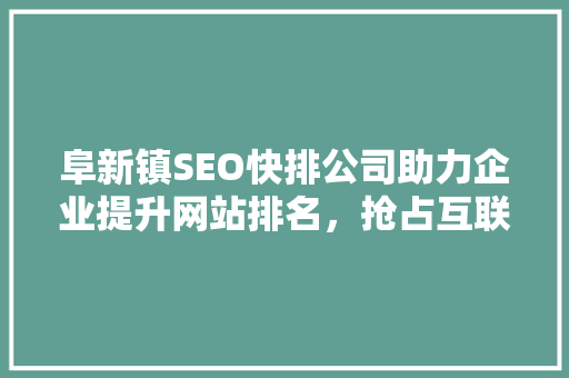 阜新镇SEO快排公司助力企业提升网站排名，抢占互联网市场先机