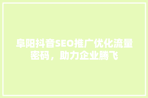 阜阳抖音SEO推广优化流量密码，助力企业腾飞