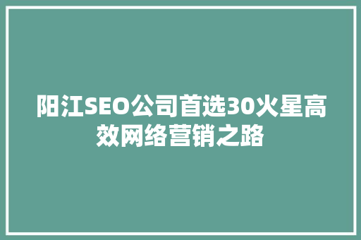 阳江SEO公司首选30火星高效网络营销之路