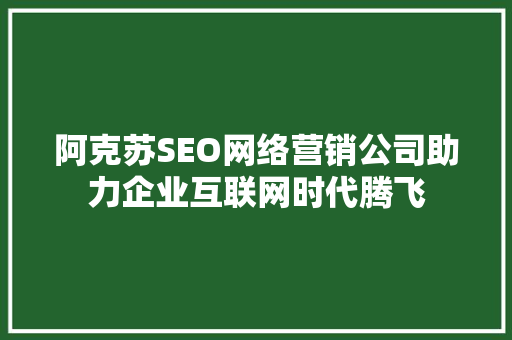 阿克苏SEO网络营销公司助力企业互联网时代腾飞