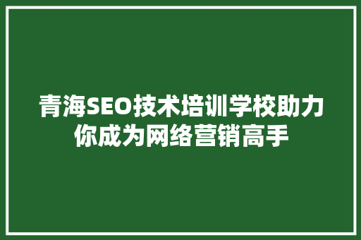 青海SEO技术培训学校助力你成为网络营销高手