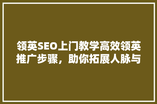 领英SEO上门教学高效领英推广步骤，助你拓展人脉与业务