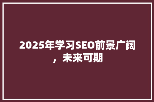 2025年学习SEO前景广阔,未来可期 2025年学习SEO前景广阔,未来可期