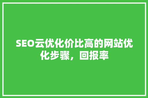 SEO云优化价比高的网站优化步骤，回报率