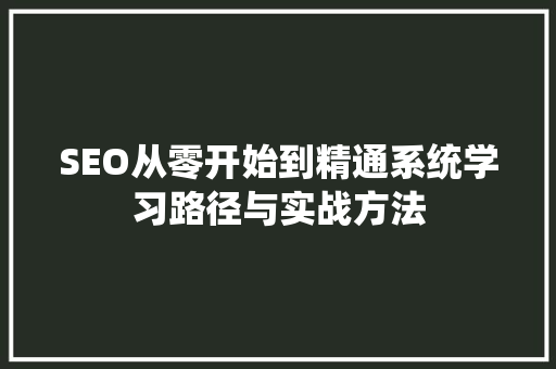 SEO从零开始到精通系统学习路径与实战方法