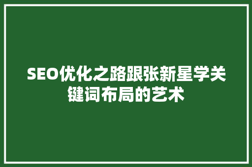 SEO优化之路跟张新星学关键词布局的艺术 SEO优化之路跟张新星学关键词布局的艺术