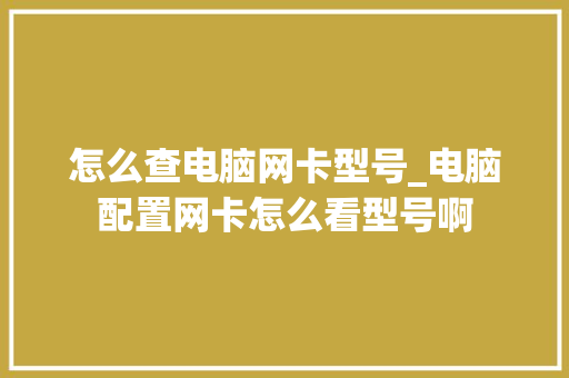 怎么查电脑网卡型号_电脑配置网卡怎么看型号啊